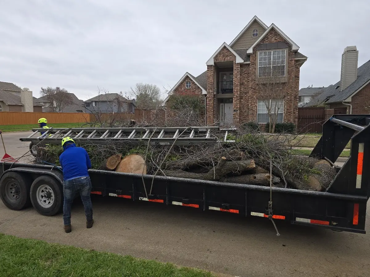 Expert Tree Fertilization with proper safety equipment in Dulce